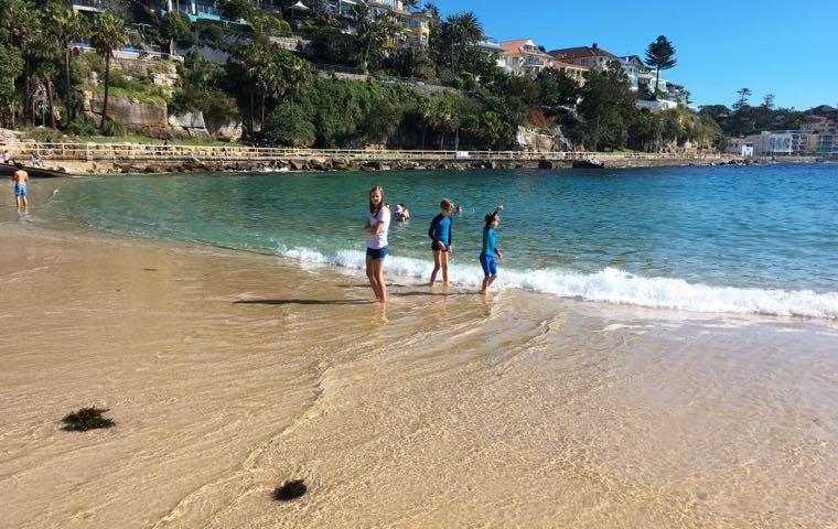 /16-shellybeach/shellybeach3.jpg